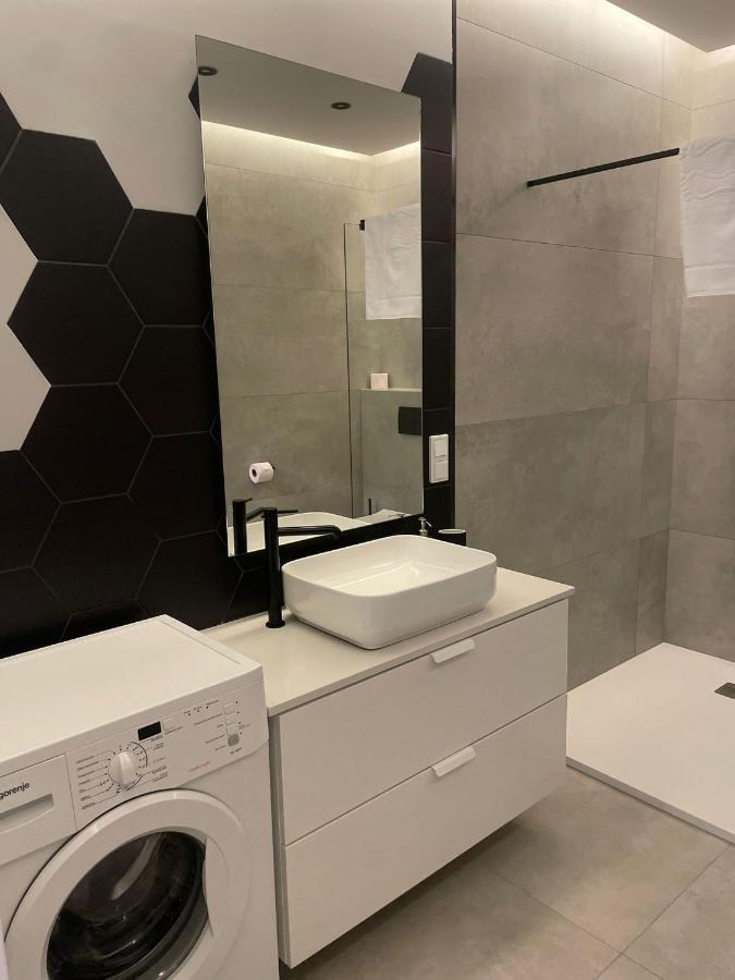 Apartment Parkowa - Kamien Slaski